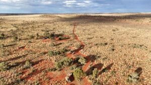 canning stock route tours