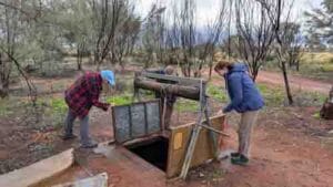 canning stock route tours