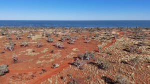 canning stock route tours